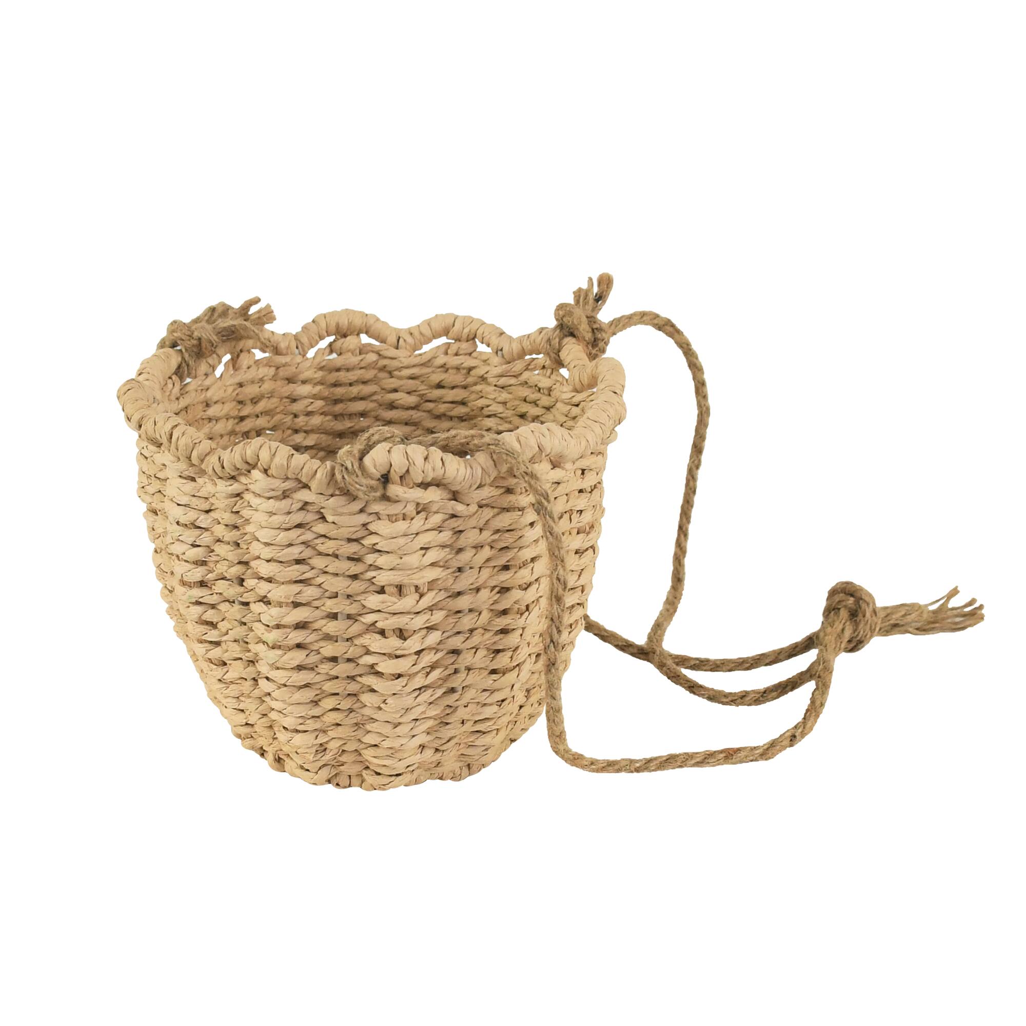 Scallop Hanging Basket by Ashland®